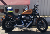 Amber Whisk Harley Davidson Iron 883