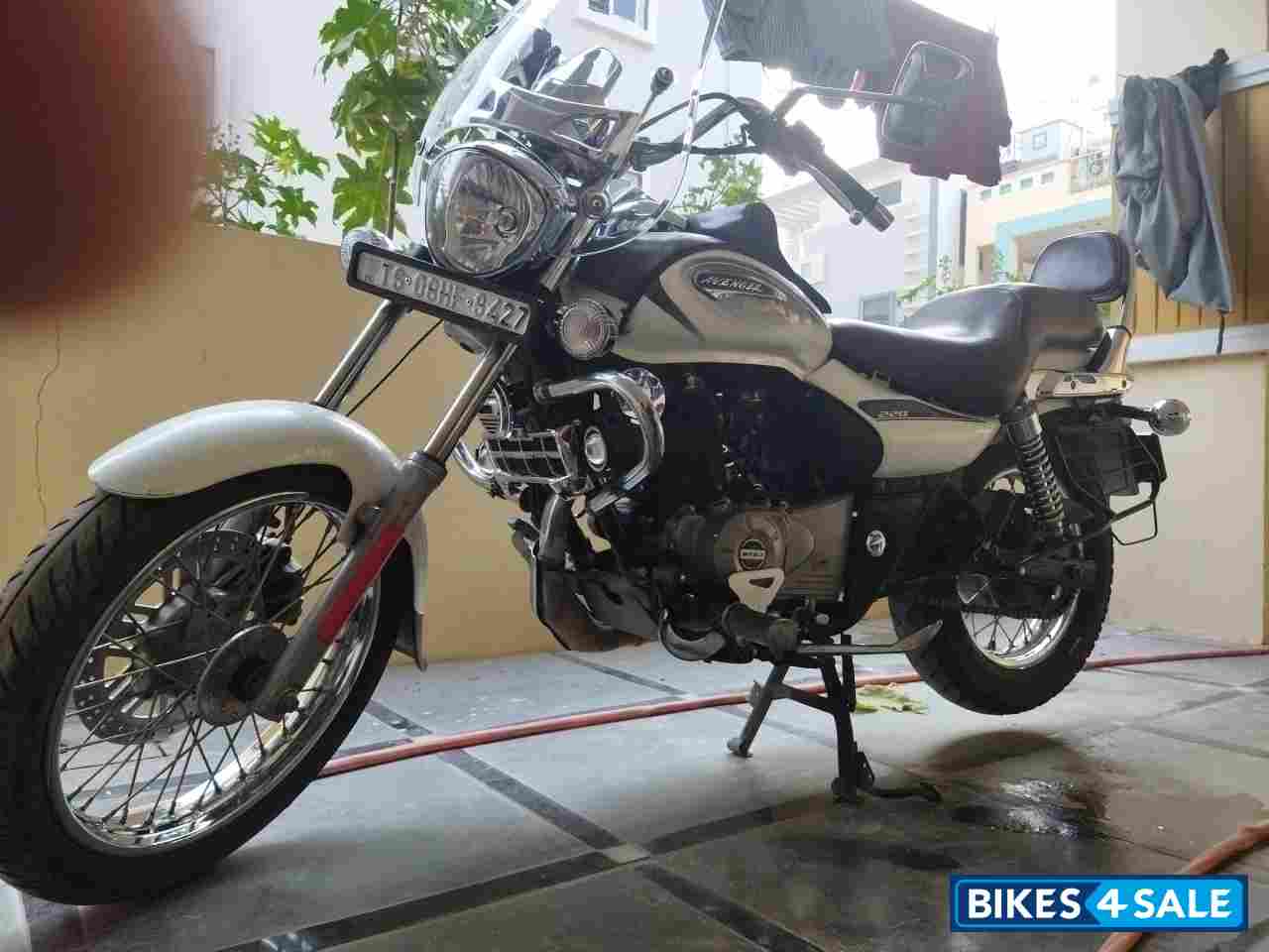 Moon White Bajaj Avenger Cruise 220 BS6