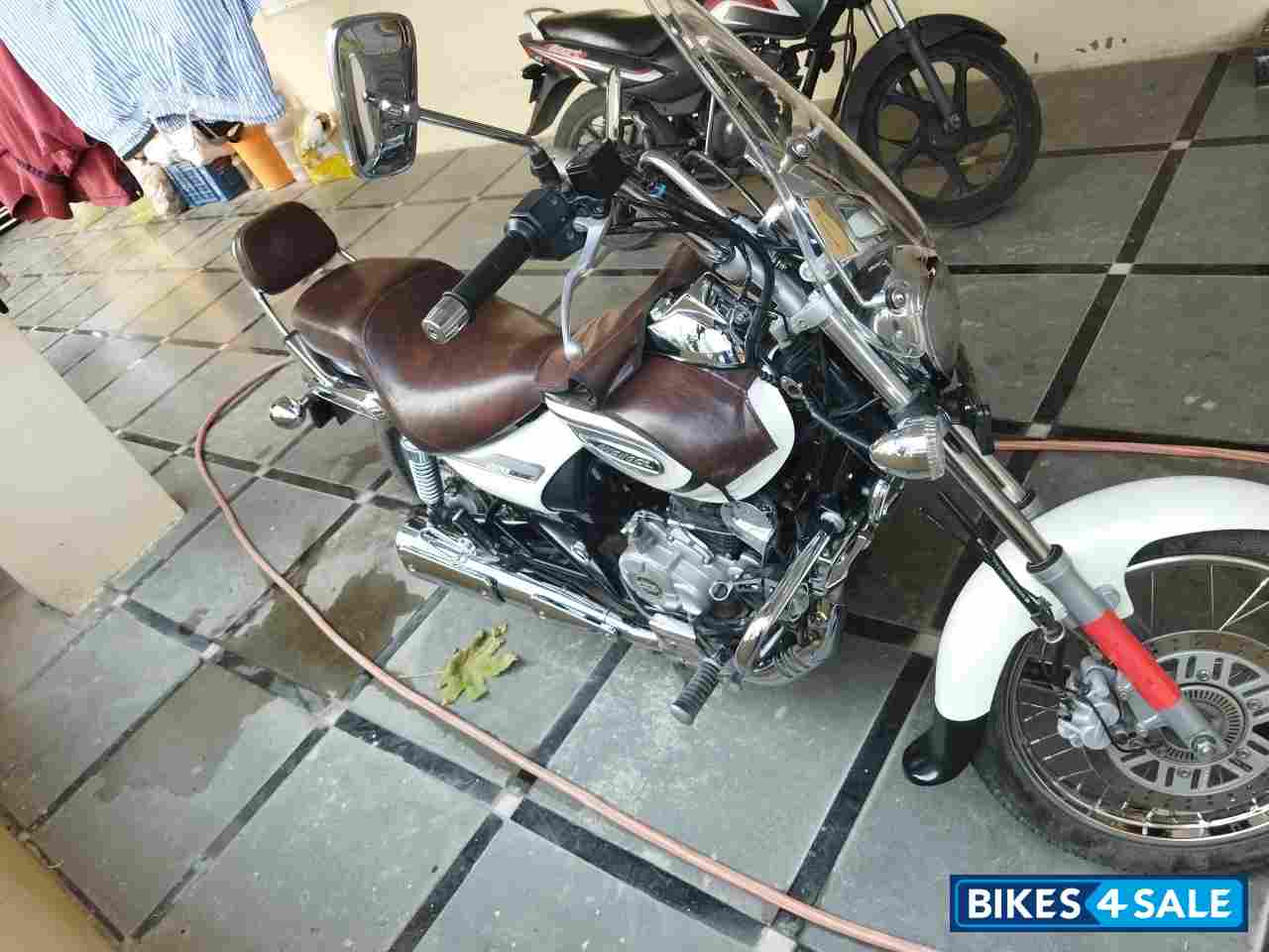 Moon White Bajaj Avenger Cruise 220 BS6 Moon White Bajaj Avenger Cruise 220 BS6