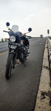 Gravey Grey Royal Enfield Himalayan 2021