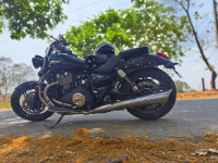 Black Triumph Thunderbird Storm