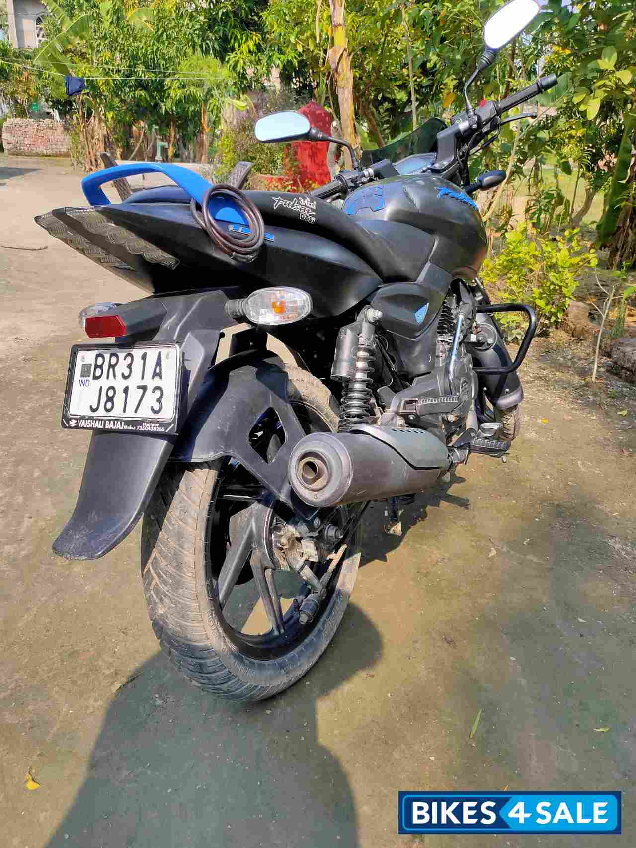 Neon Bajaj Pulsar 125 Neon