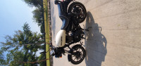 White Royal Enfield Thunderbird X 350
