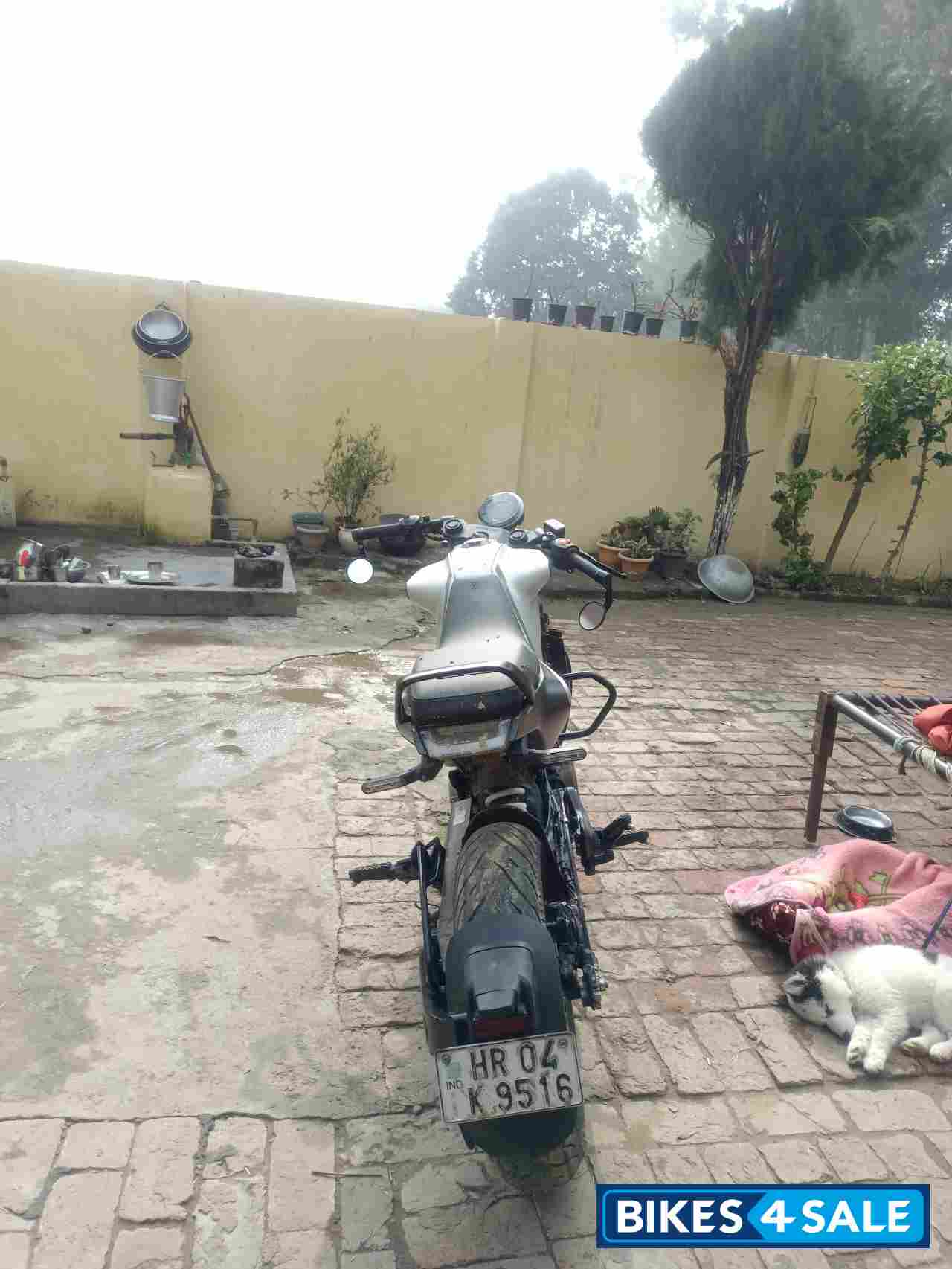 Husqvarna Vitpilen 250 2020