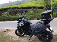Black Yellow BMW G 310 GS - 40 Years GS Edition