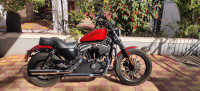 Harley Davidson Iron 883 2012 Model