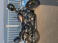 Harley Davidson Iron 883 2020 2019 Model
