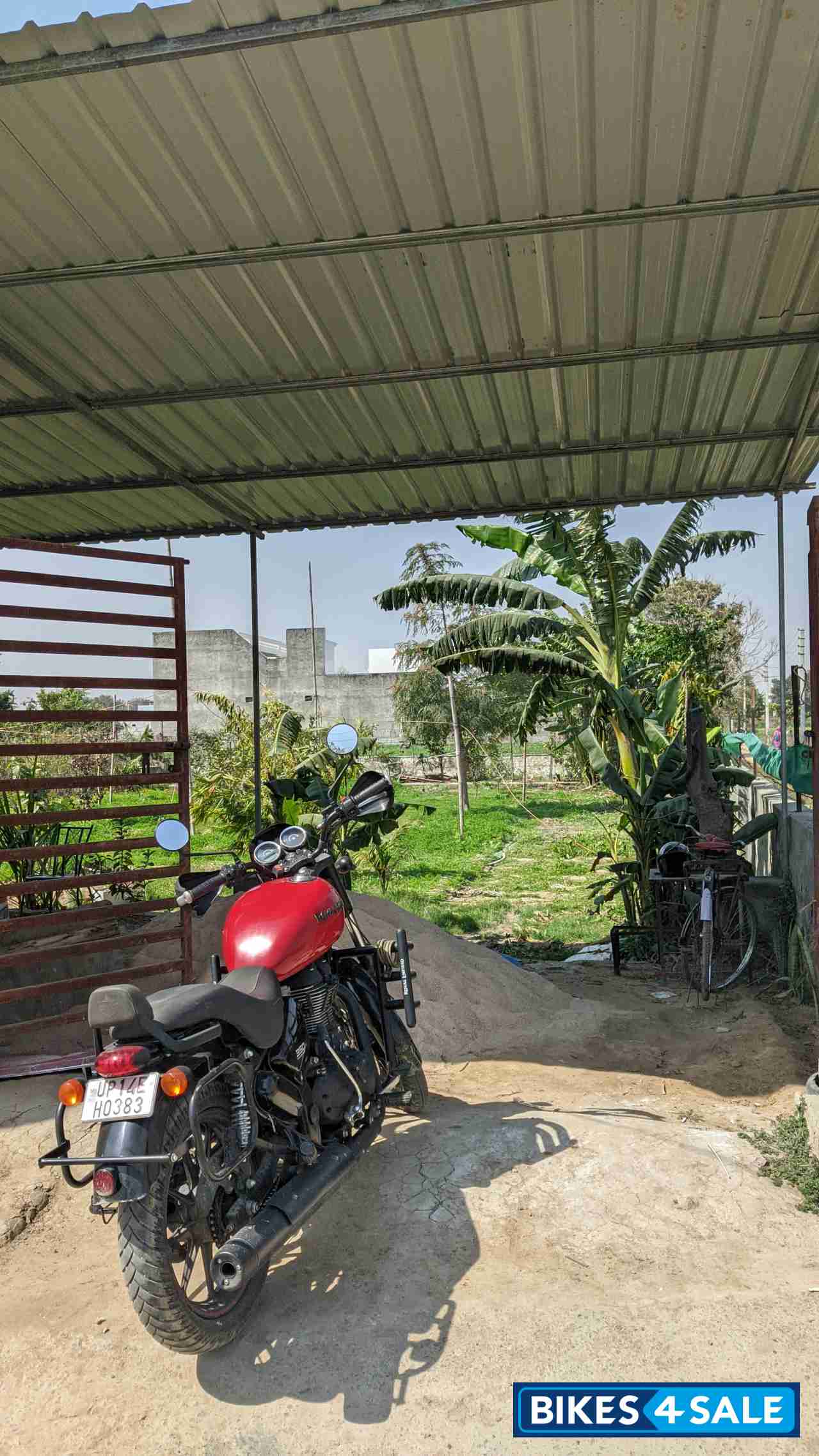 Roving Red Royal Enfield Thunderbird X 350