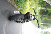 Ducati Scrambler Icon