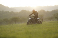 Ducati Scrambler Icon