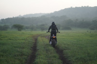 Ducati Scrambler Icon