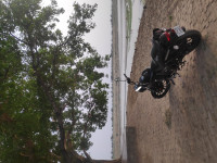 Bajaj Avenger Street 160 BS6