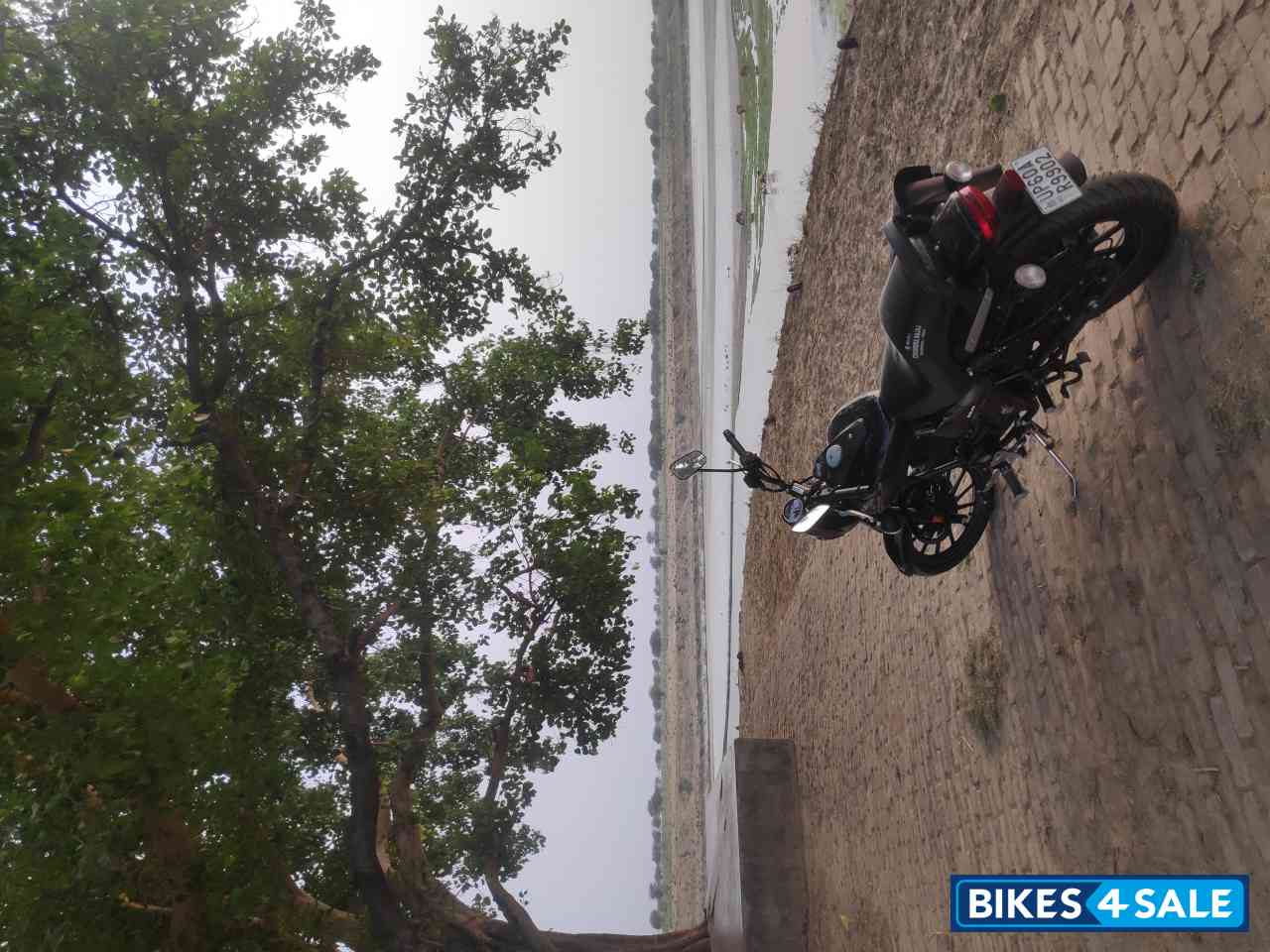 Bajaj Avenger Street 160 BS6