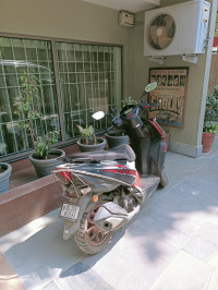 Red TVS NTORQ 125 Race XP