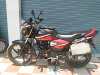 Honda CB Shine Limited Edition
