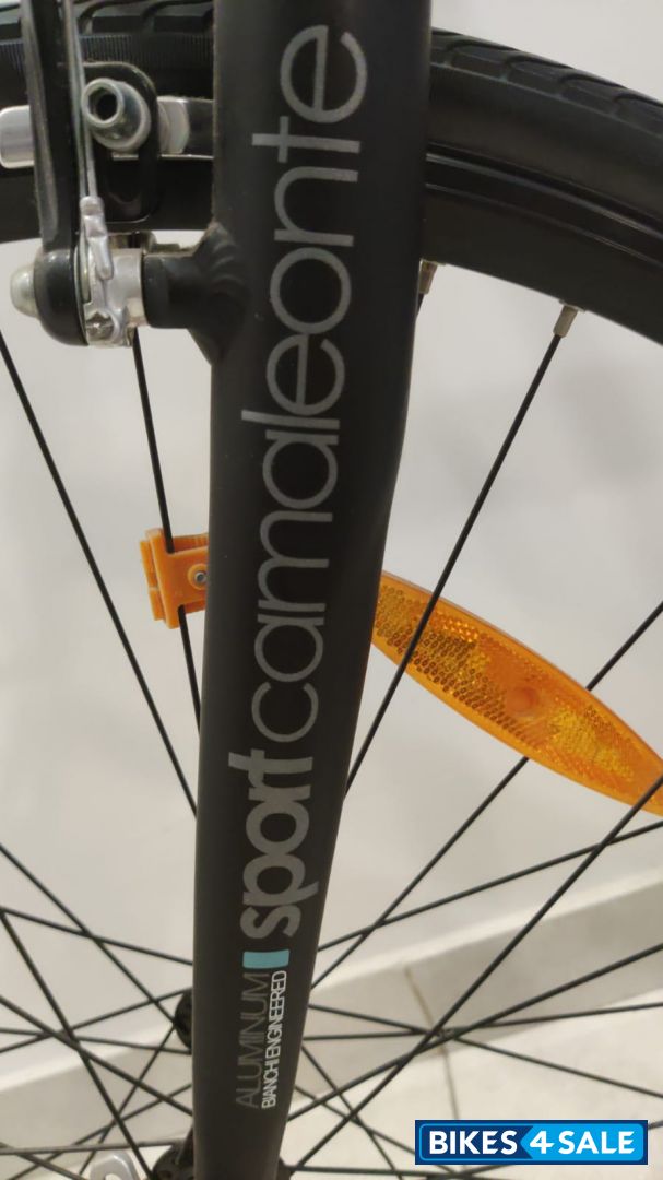 Bicycle Bianchi Sport Camaleonte