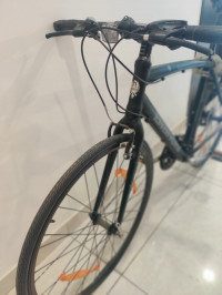 Bicycle Bianchi Sport Camaleonte