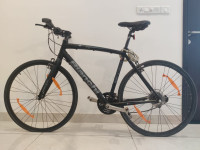 Bicycle Bianchi Sport Camaleonte