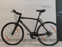 Bicycle Bianchi Sport Camaleonte