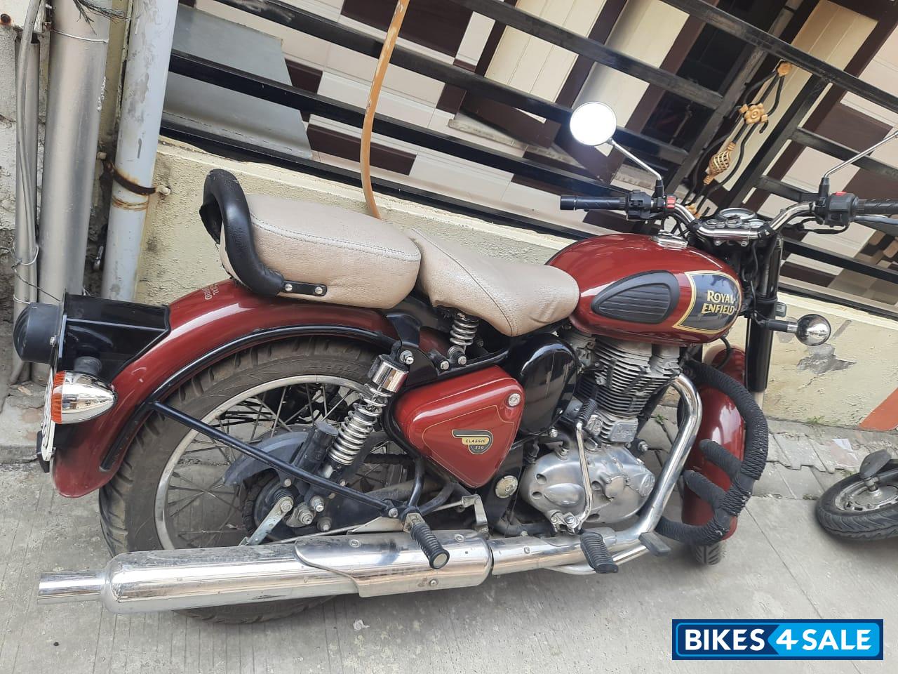 Chestnut Royal Enfield Classic 350