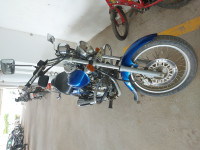 Blue Bajaj Avenger 220 DTS-i