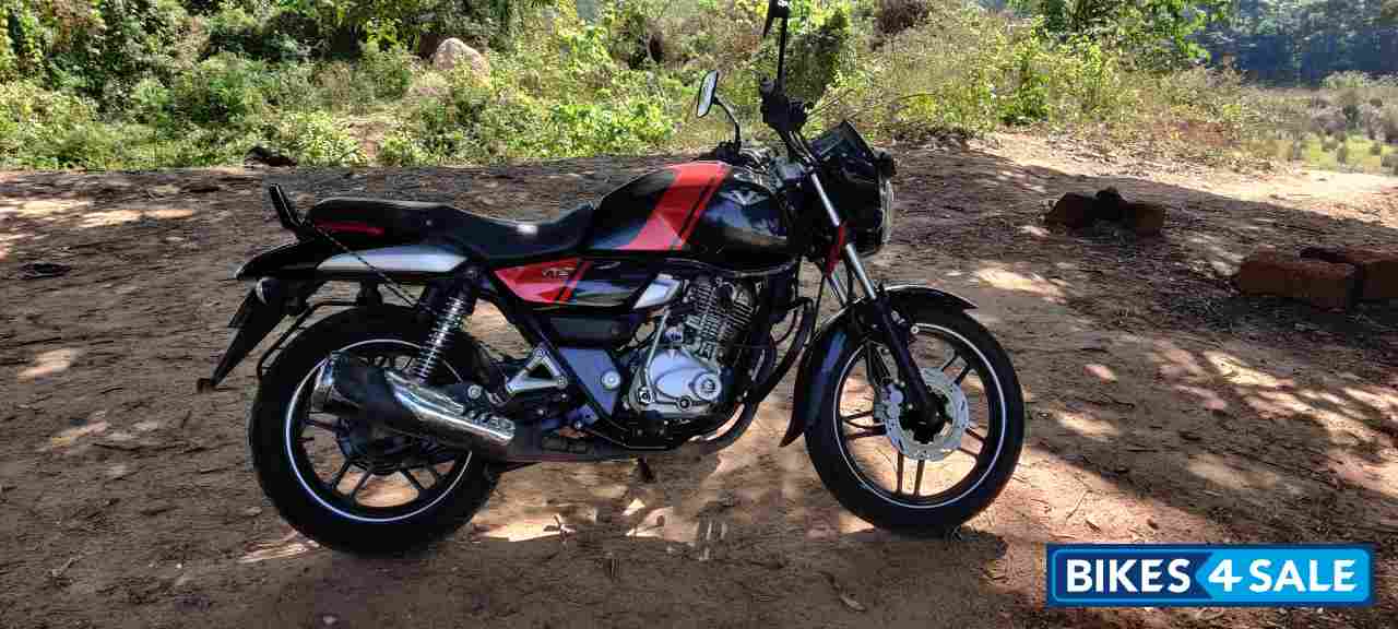 Ebony Red Bajaj V15