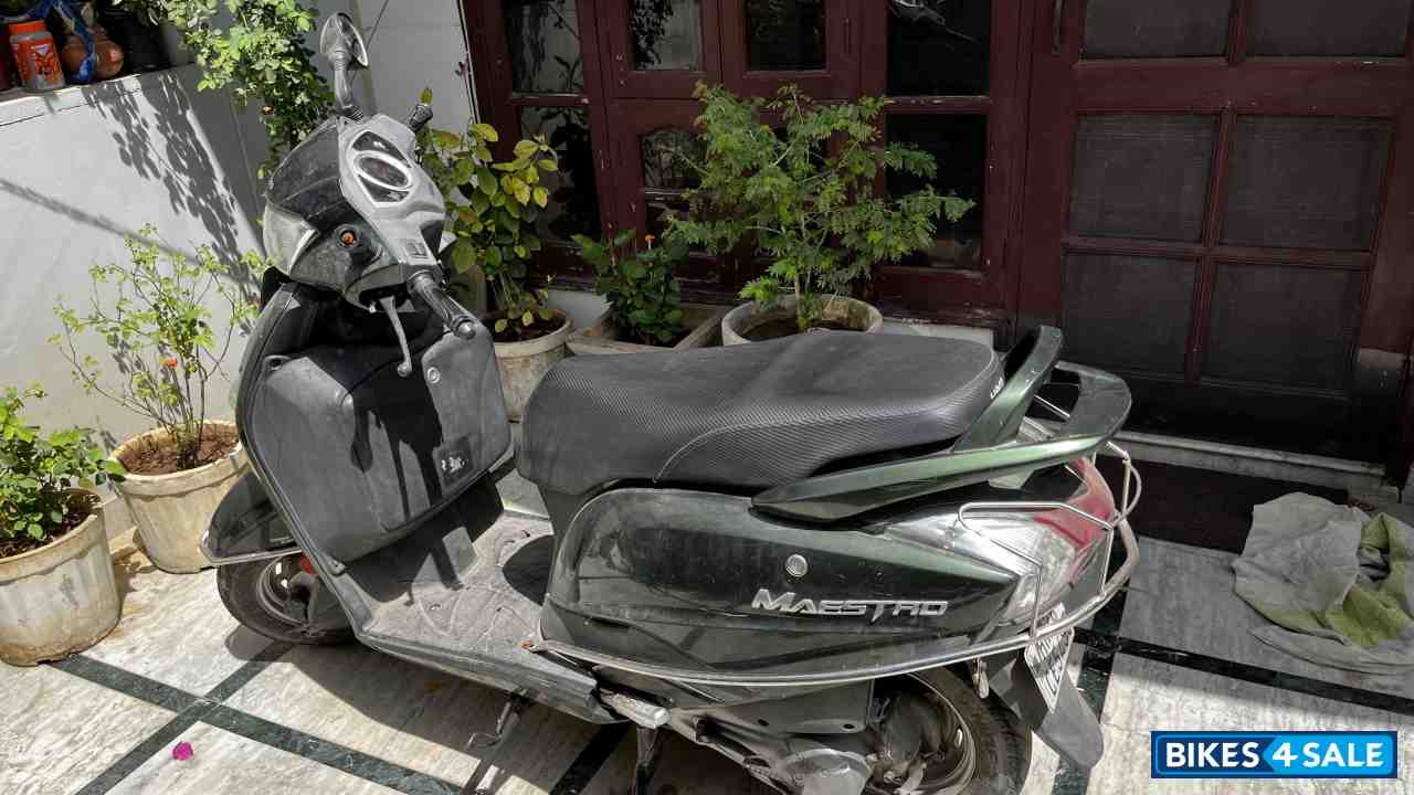 Olive Green Hero Maestro