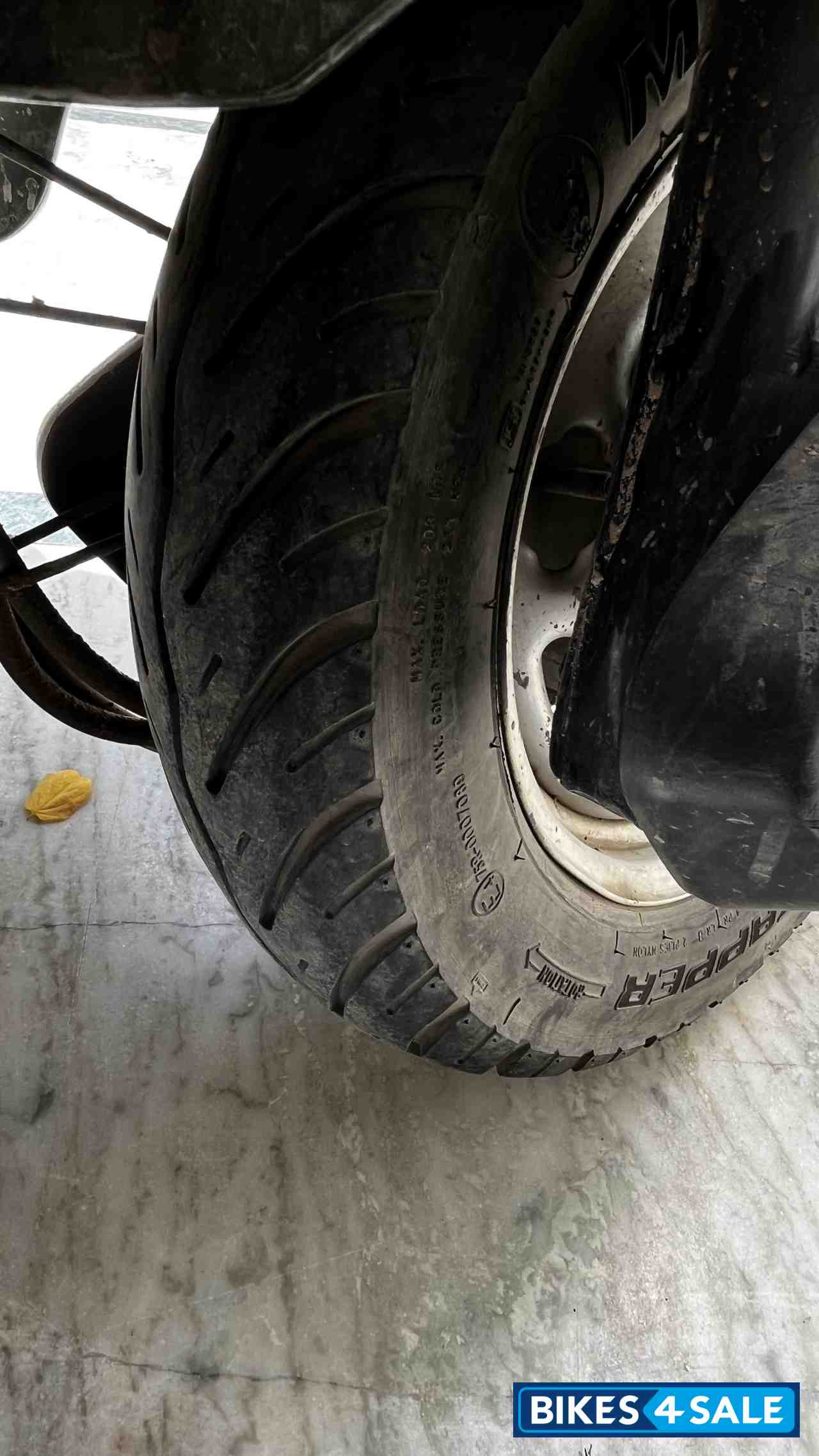 Olive Green Hero Maestro