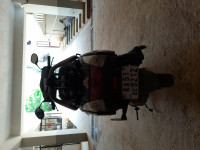 Black Honda Activa