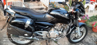 Black Bajaj Pulsar 150 DTSi