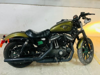 Harley Davidson Iron 883