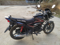Black Honda Shine BS6