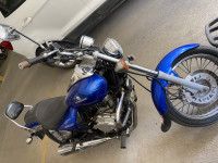 Bajaj Avenger 200 DTS-i 2008 Model