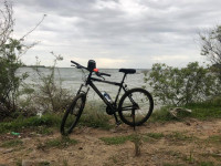 Bicycle Firefox 2014 Model