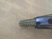 Blue Bajaj Pulsar 150 DTSi