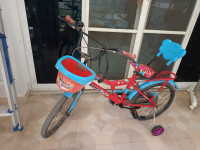 Bicycle  Allwyn doodles 2017 Model