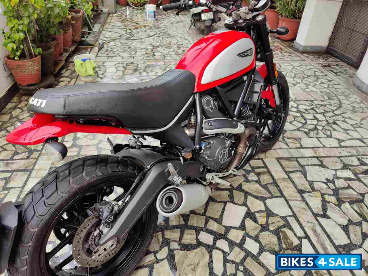 Ducati Scrambler Icon