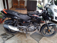 Bajaj Pulsar 125 Neon