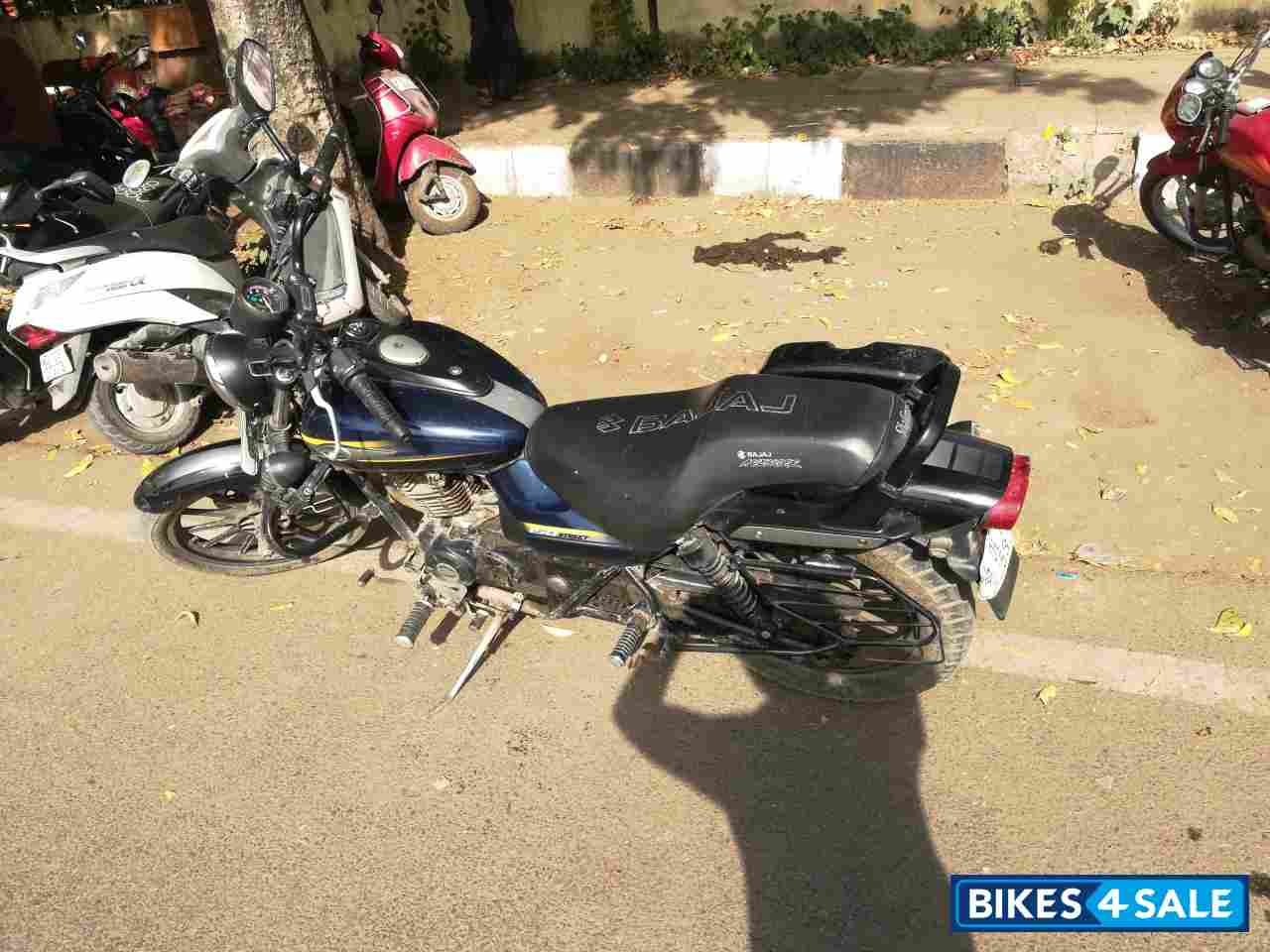 Bajaj Avenger Street 150