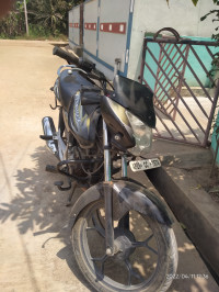 Black Olive Yellow Bajaj Discover 100M