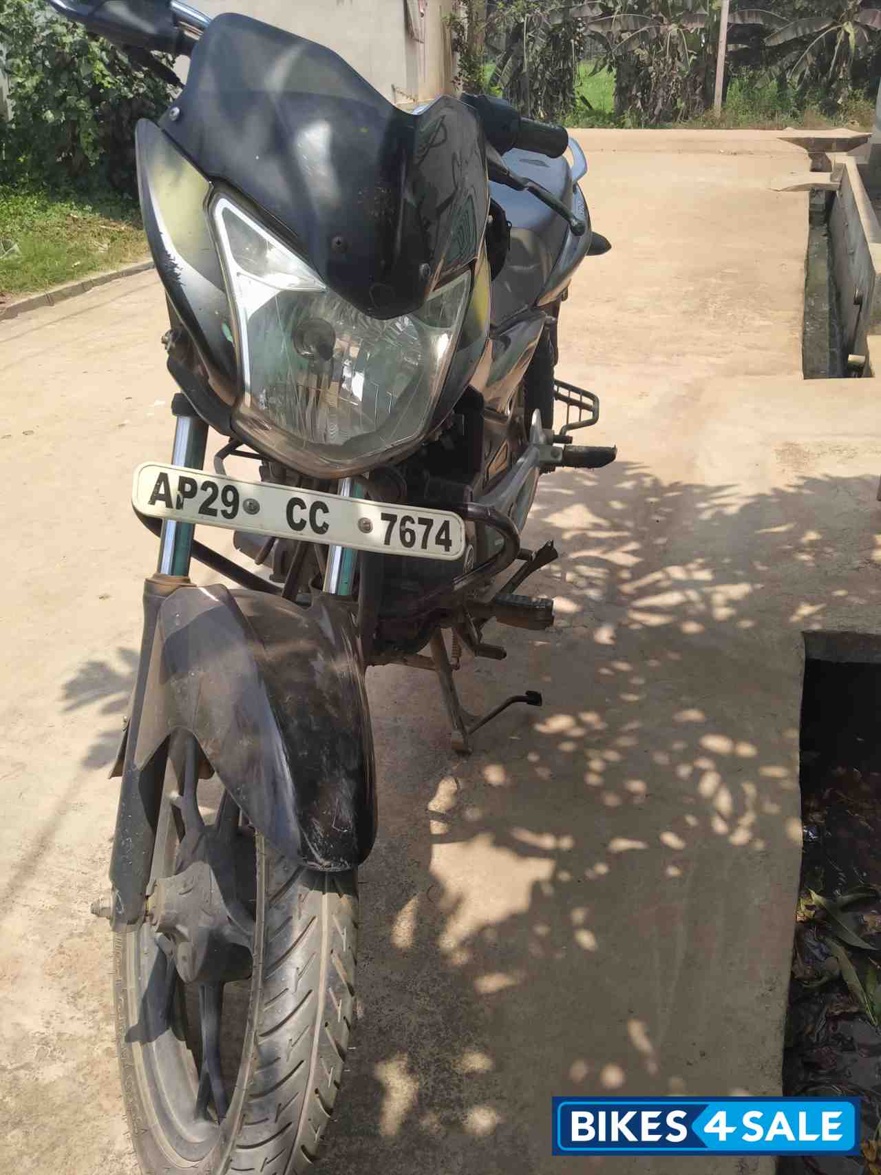 Black Olive Yellow Bajaj Discover 100M