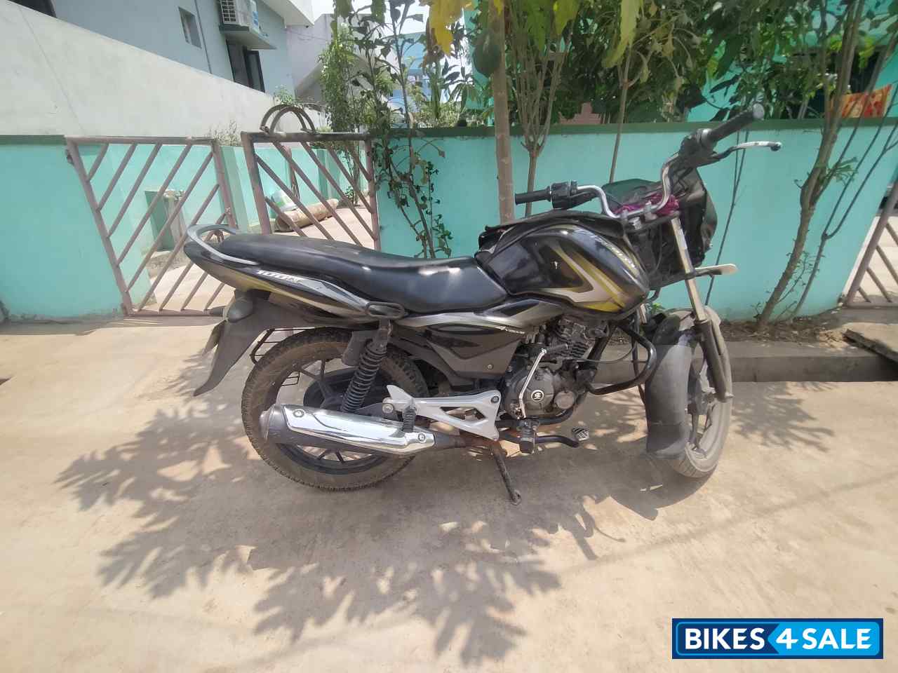 Black Olive Yellow Bajaj Discover 100M