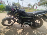 Black Olive Yellow Bajaj Discover 100M