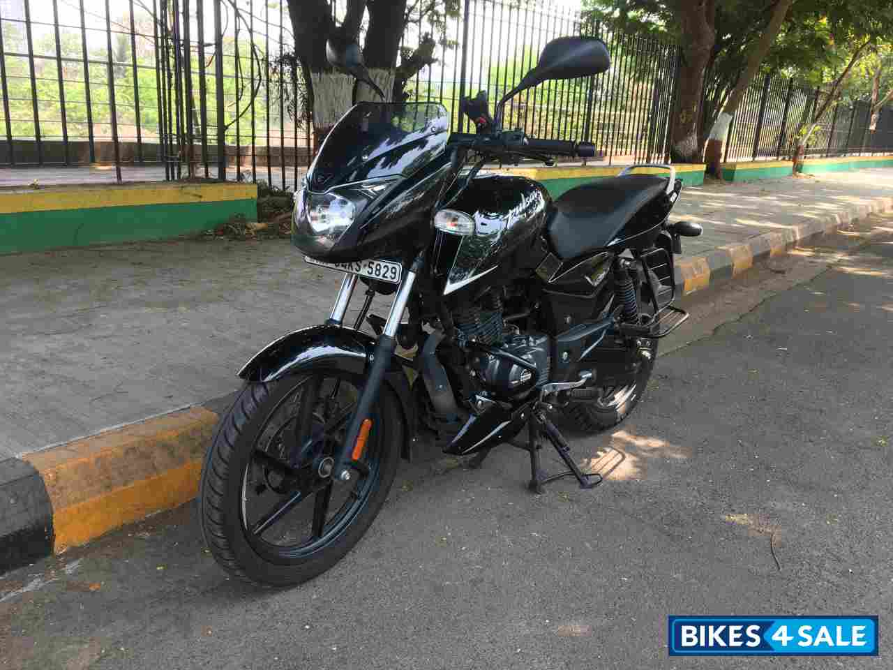 Black/silver Bajaj Pulsar 150 Neon BS6