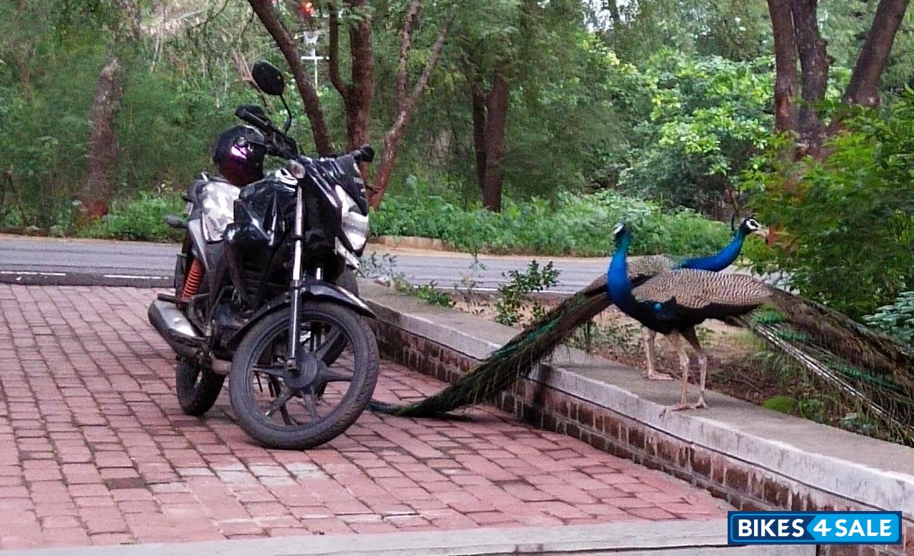 Black Honda CB Twister