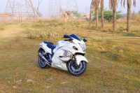 Suzuki Hayabusa GSX1300R