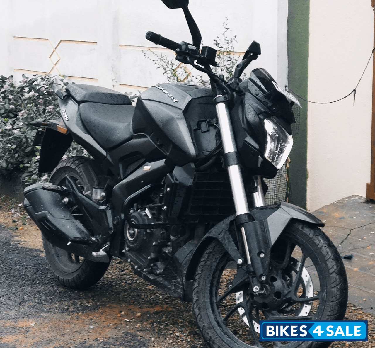 Grey Bajaj Dominar 250