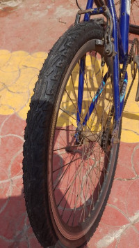 Blue And White Bicycle Firefox