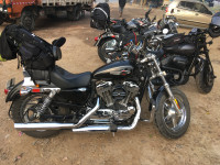 Harley Davidson 1200 Custom 2017 Model