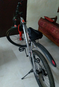 Bicycle  Schnell King